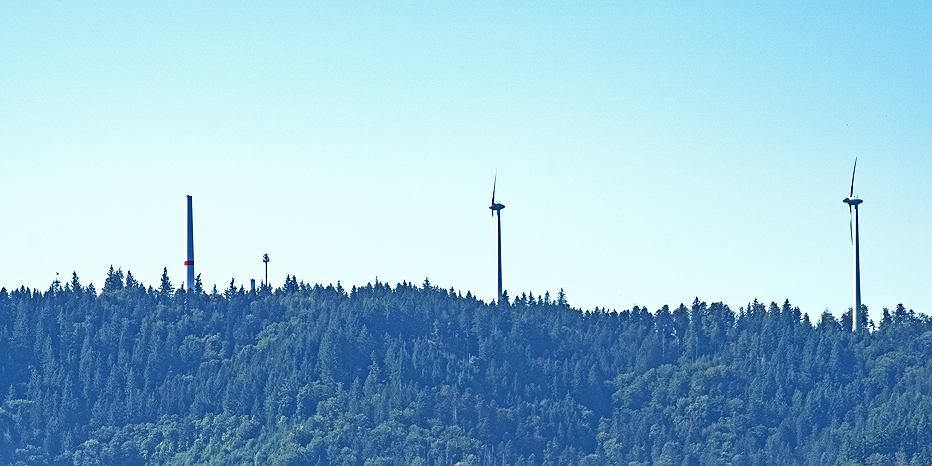 Rosskopf20250806