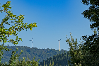 Rosskopf