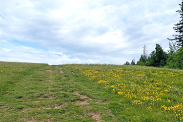 Hinterwaldkopf