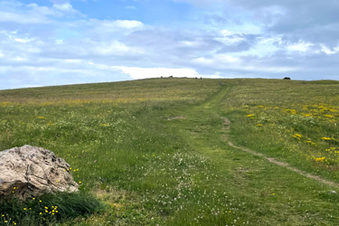 Hinterwaldkopf