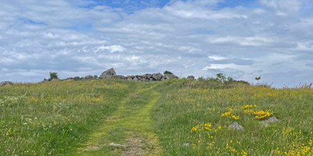 Hinterwaldkopf