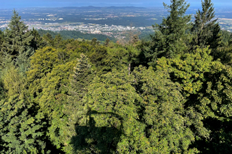 Roßkopf
