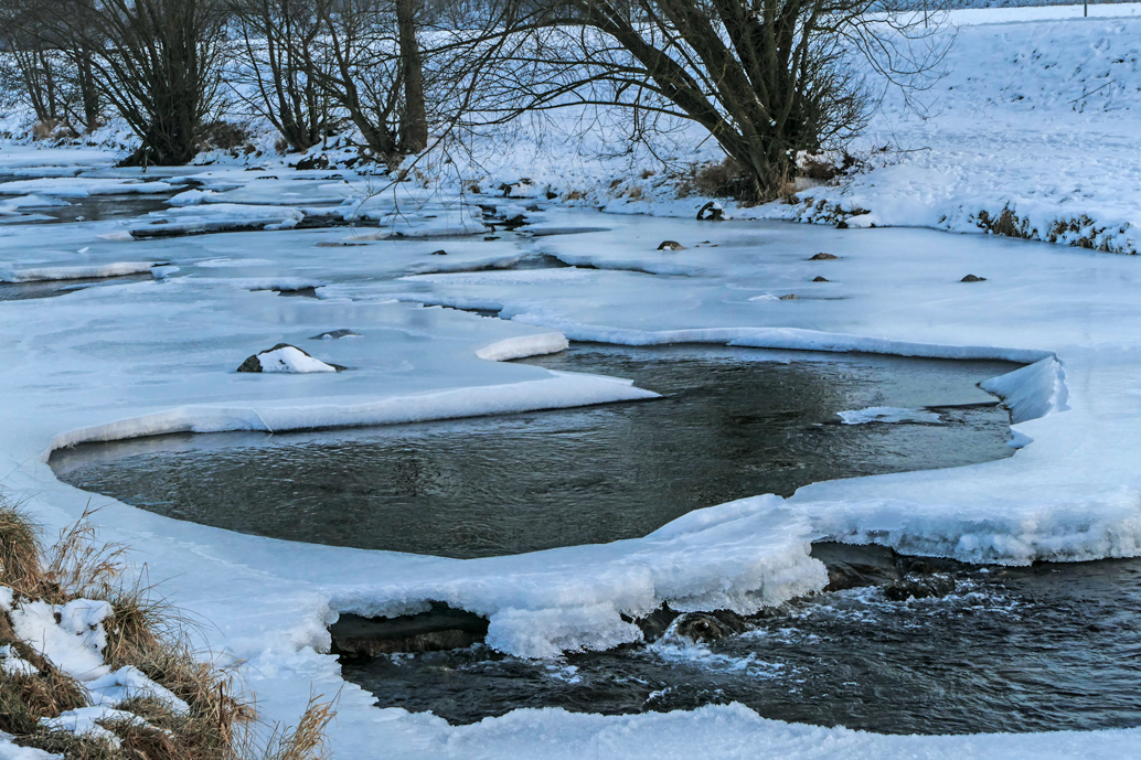 Eistage an der Dreisam