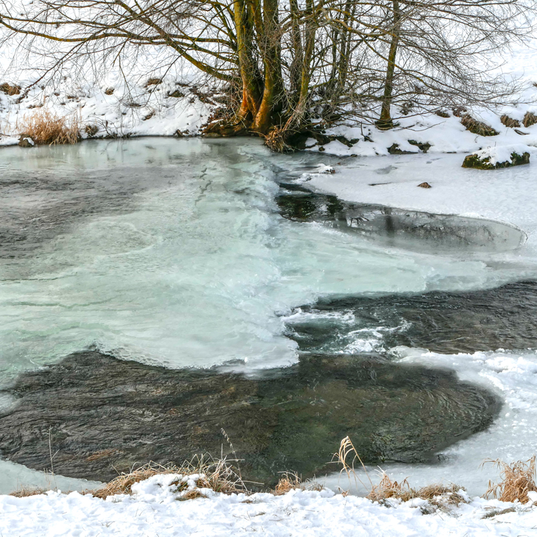 Eistage an der Dreisam