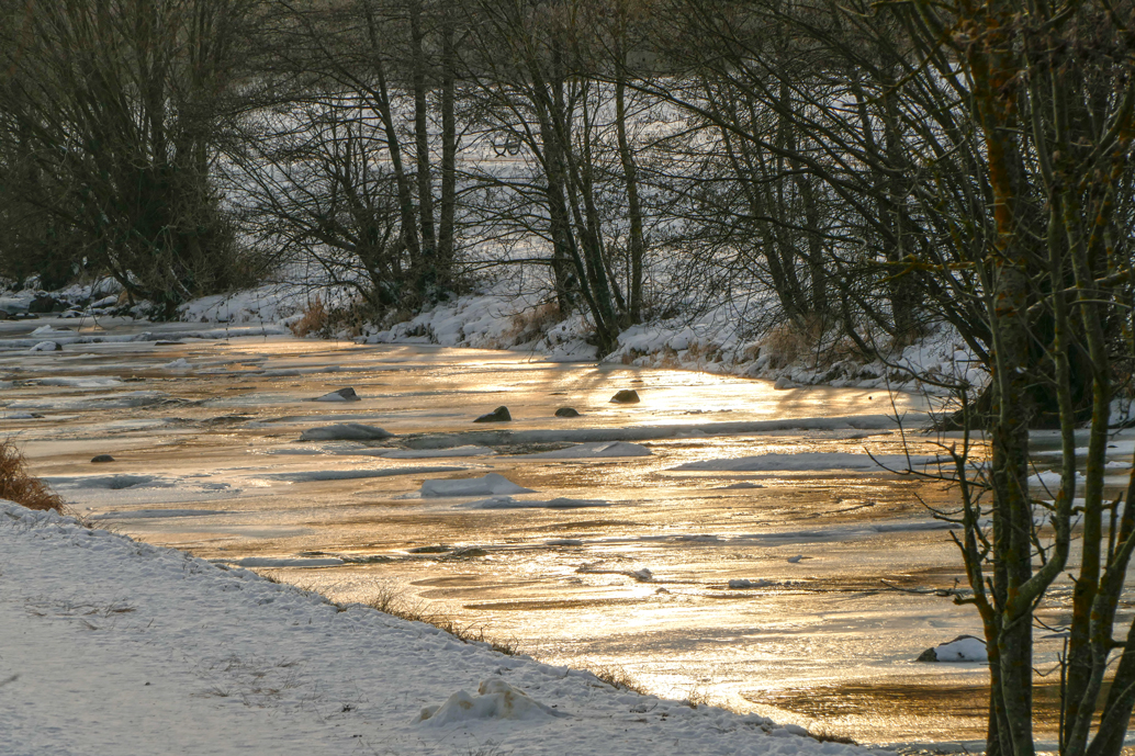 Eistage an der Dreisam