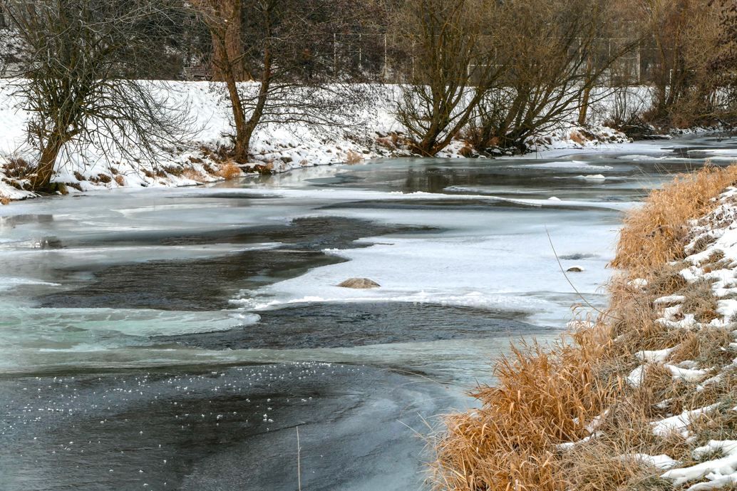 Eistage an der Dreisam