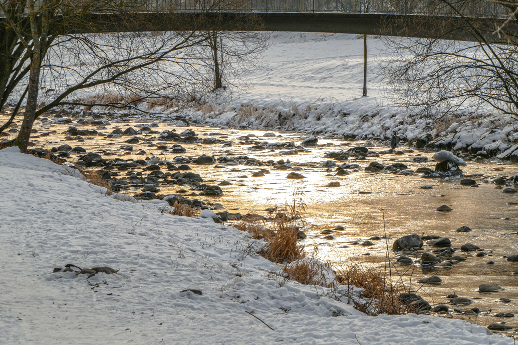 Eistage an der Dreisam