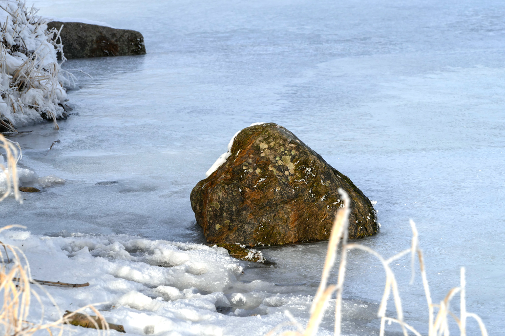 Eistage an der Dreisam