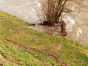 Hochwasser 2018