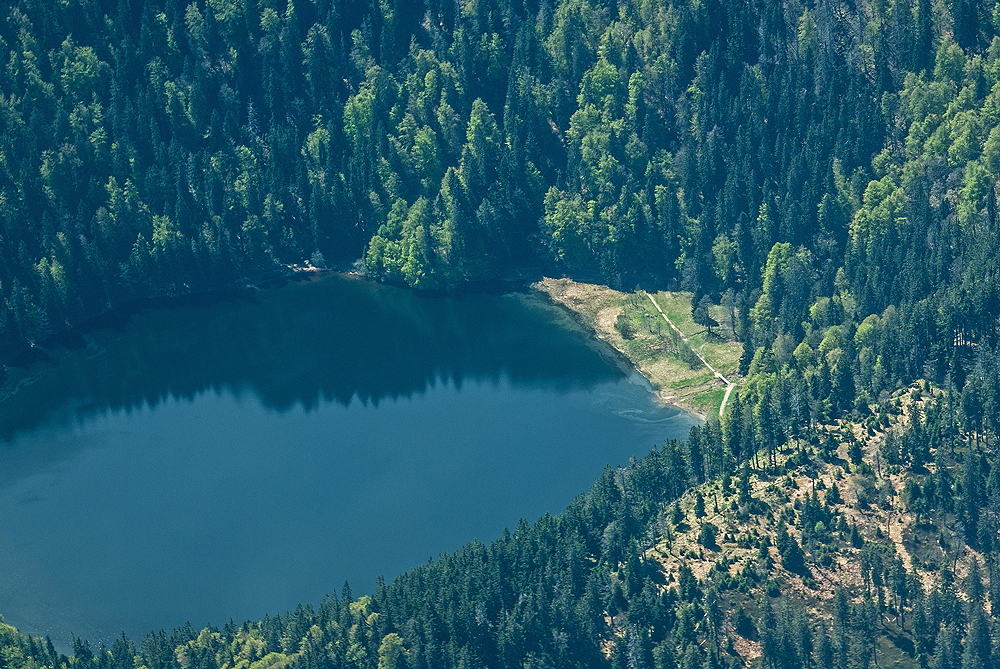 Feldsee