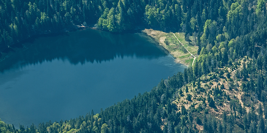 Feldsee