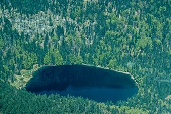 Feldsee