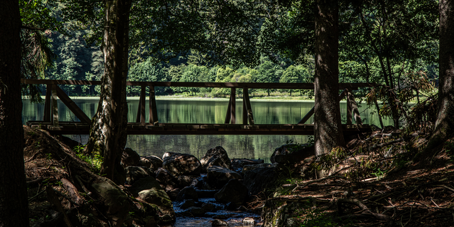 Feldsee