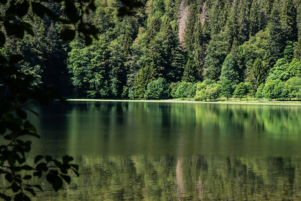 Feldsee