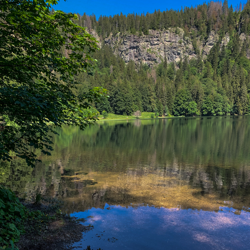 Feldsee