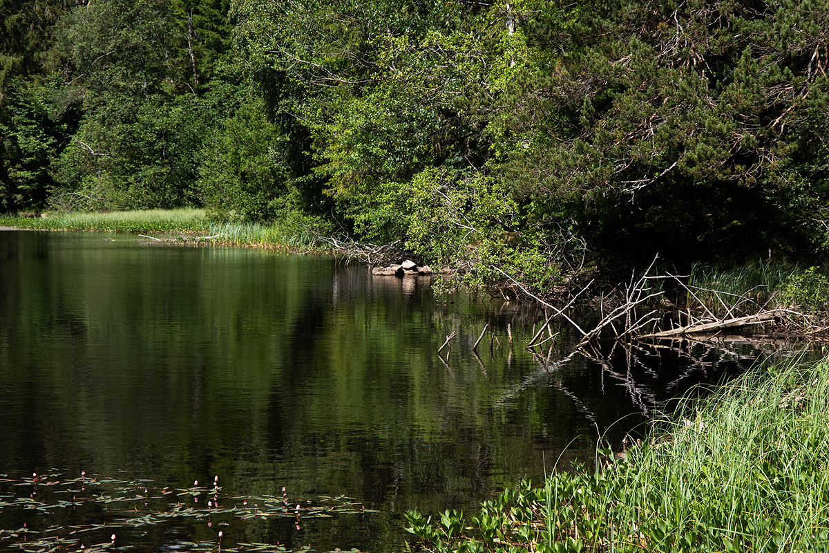 Mathisleweiher