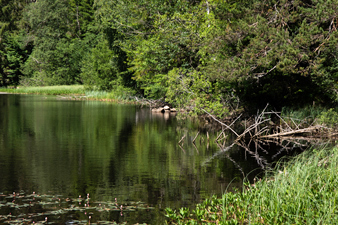 Mathisleweiher