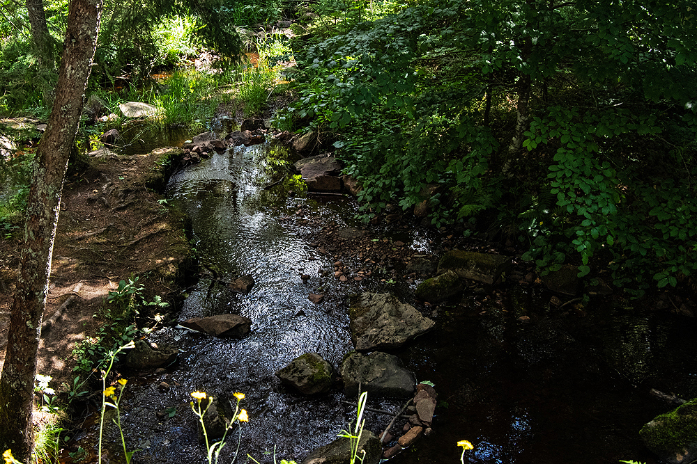 Mathisleweiher