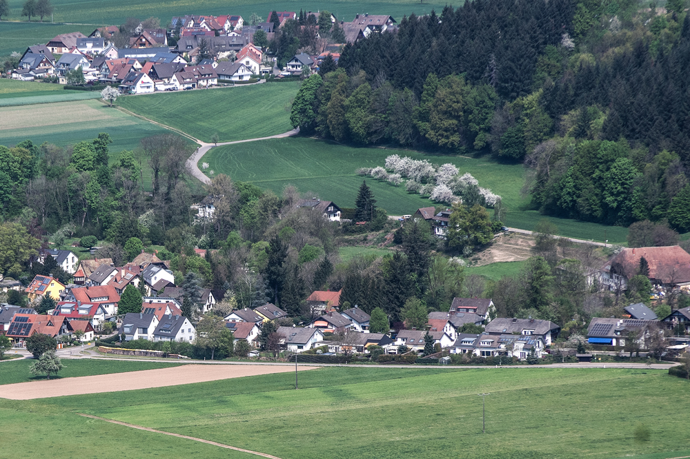 Burg am Wald