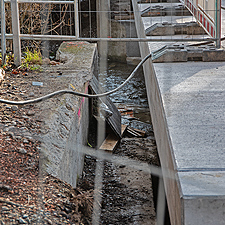 Eschbachbrücke Ebnet