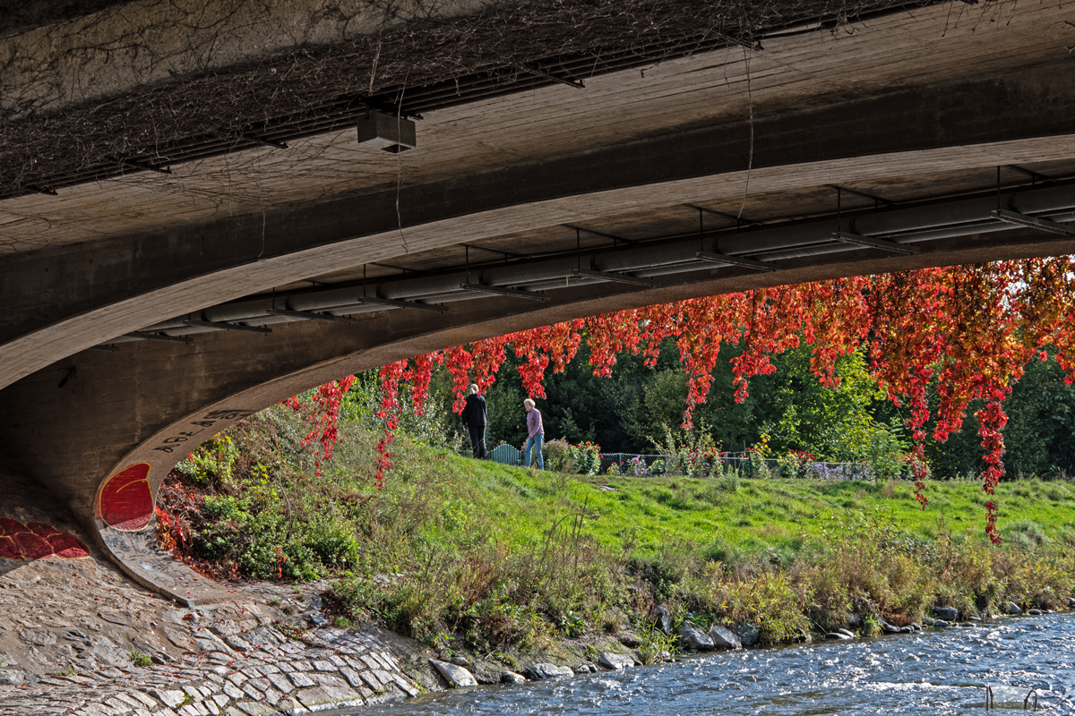 Ebneter Nepomukbrücke