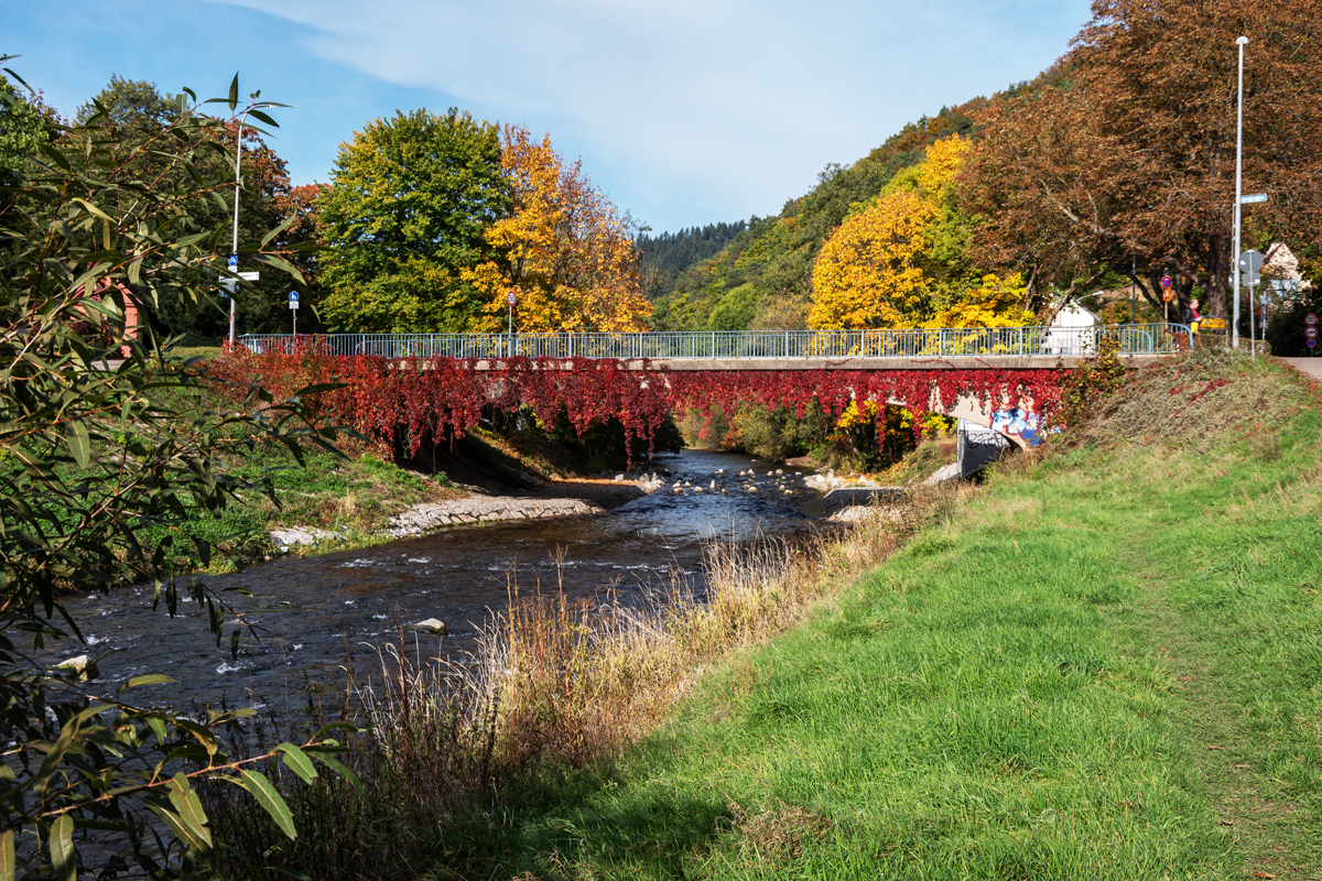 Ebneter Nepomukbrücke