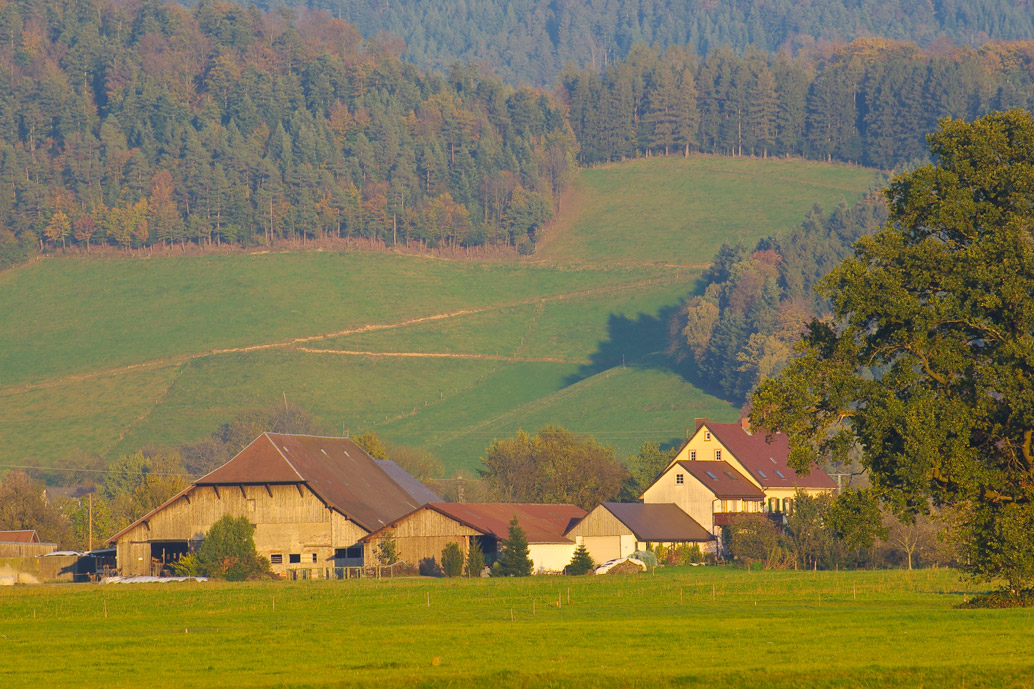 Breitehof