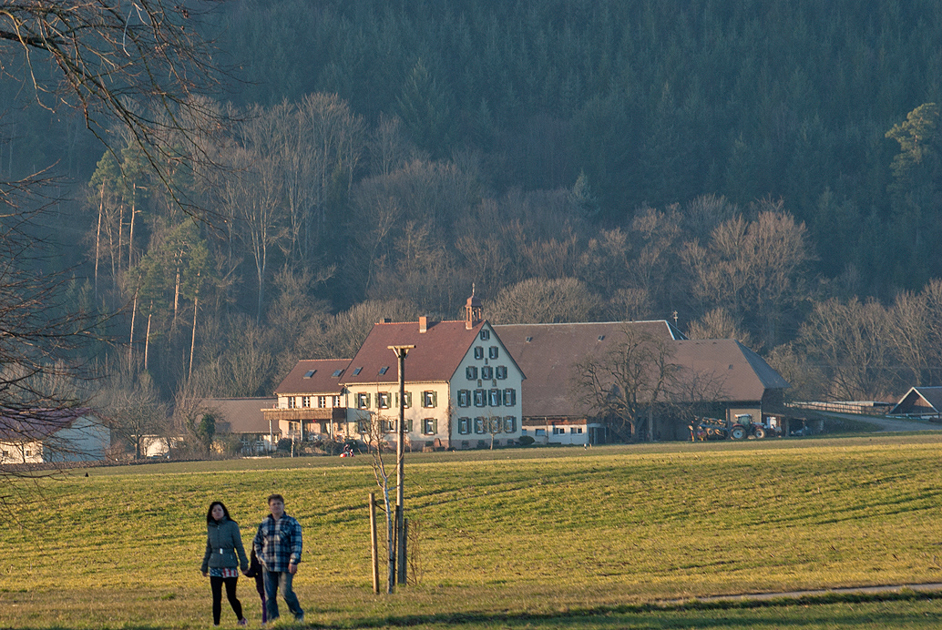 Breitehof