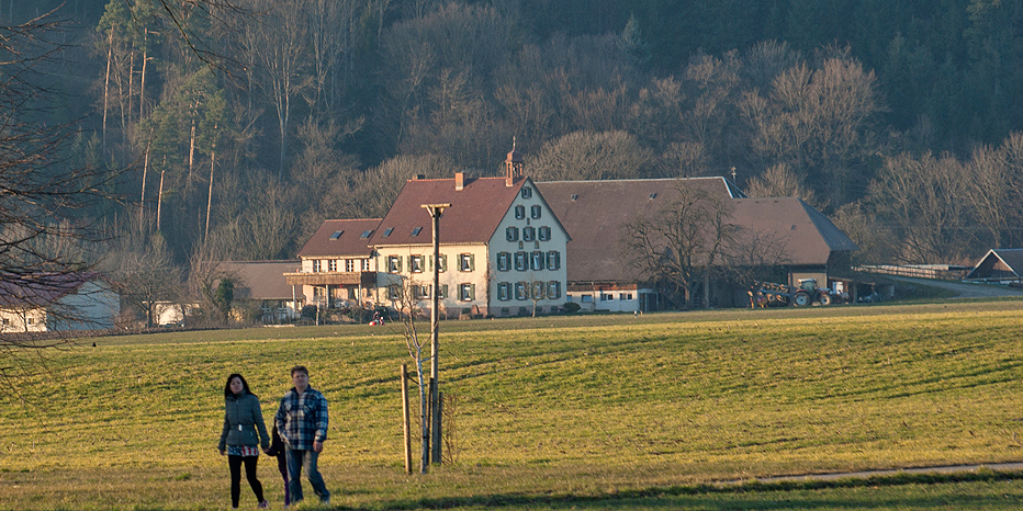 Breitehof