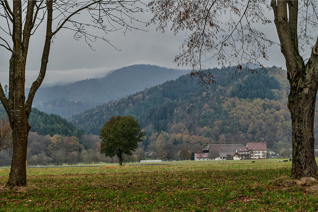 Breitehof