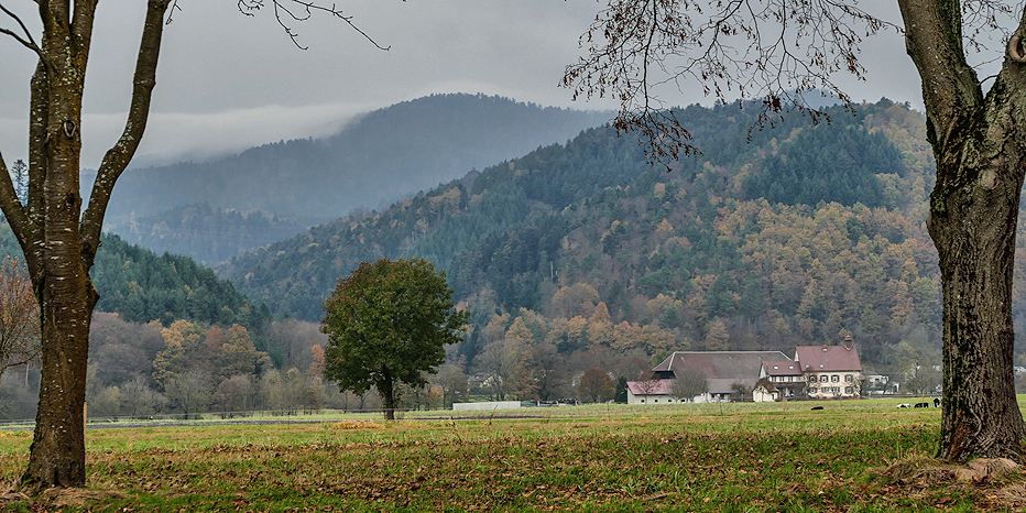 Breitehof