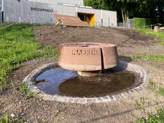Ebneter Narrenbrunnen