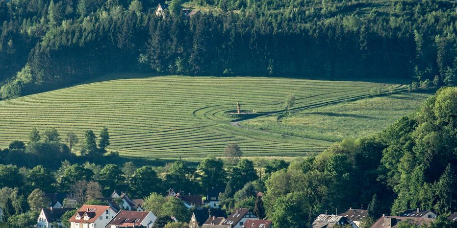 Baum der Erkenntnis