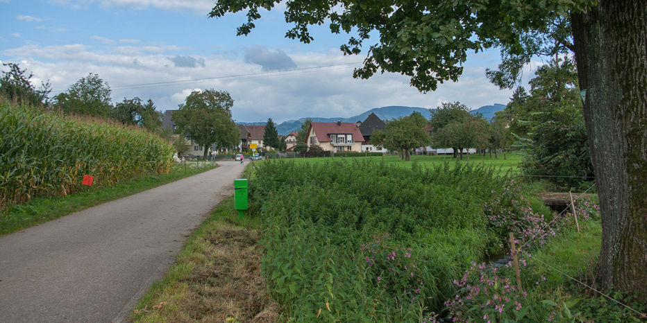 Wirtschaftsweg