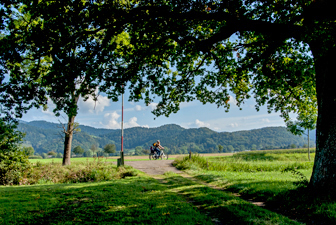 Wirtschaftsweg