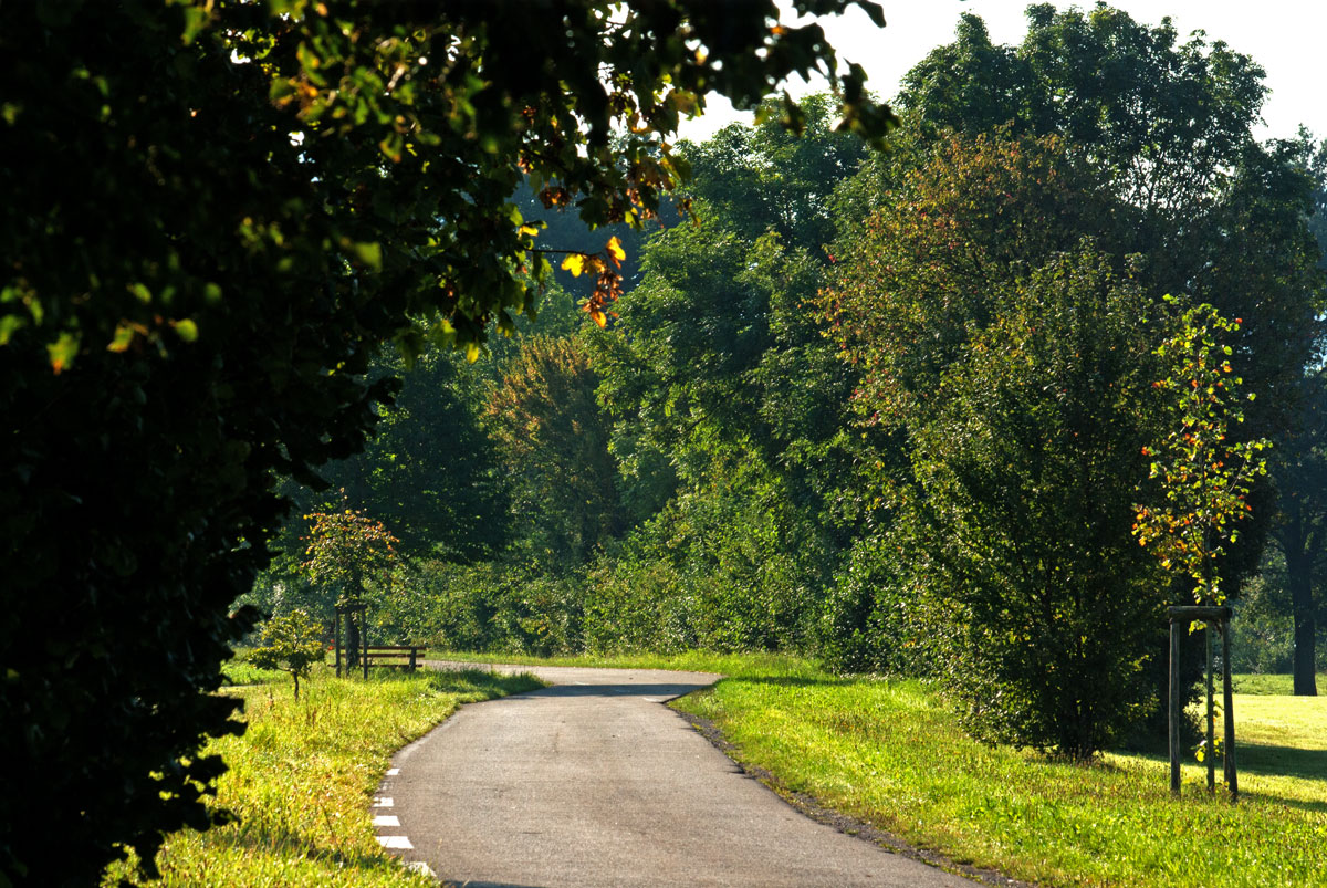 Wirtschaftsweg Ebnet-Zarten