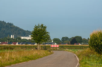 Wirtschaftsweg