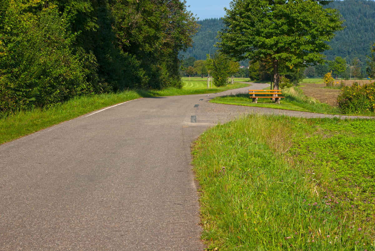 Wirtschaftsweg Ebnet-Zarten