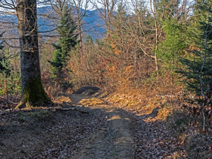 >Bergkamm der Grenzsteine