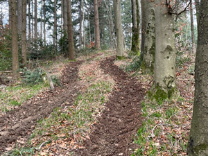 >Bergkamm der Grenzsteine