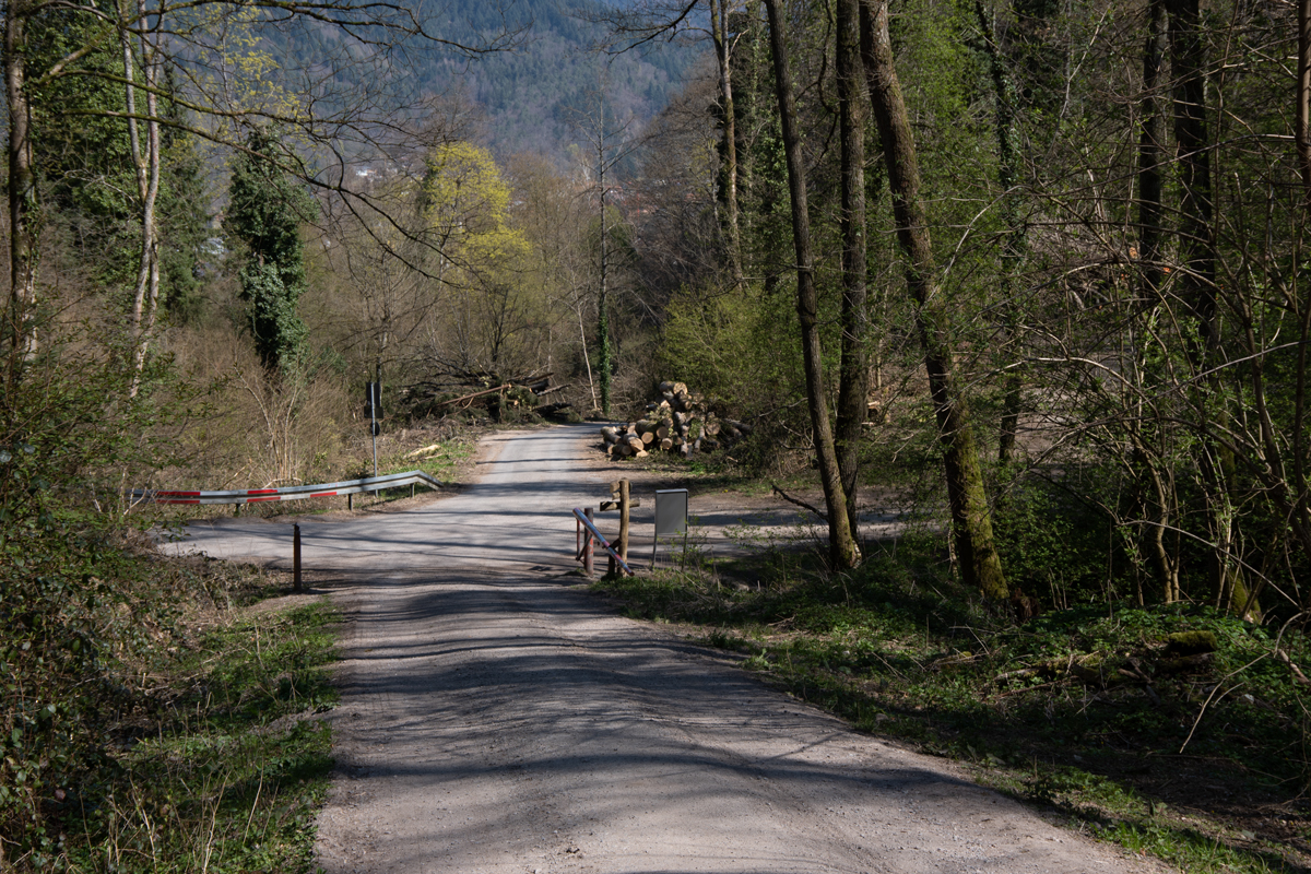 Tannenbergweg