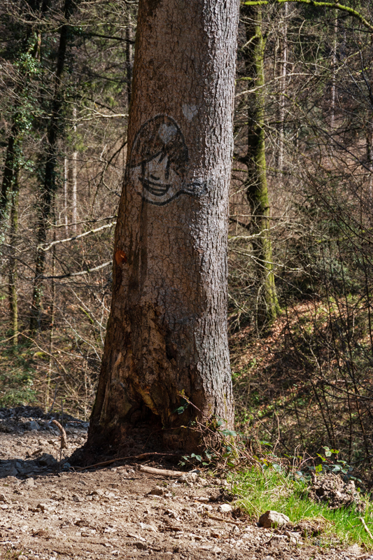 Tannenbergweg