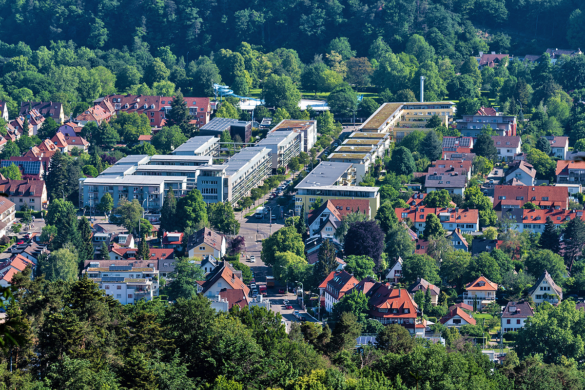 Waldsee