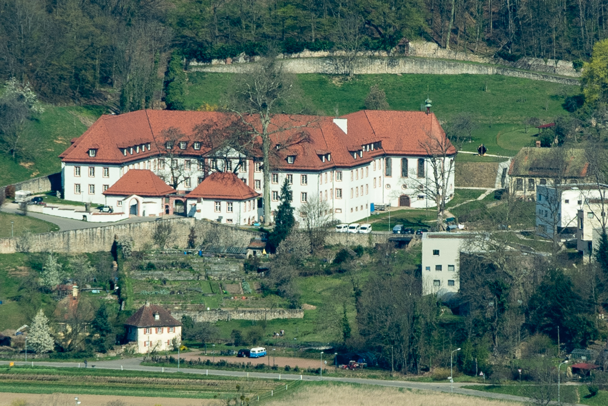 Waldsee