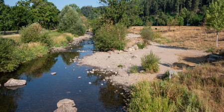 Dreisam, Waldsee